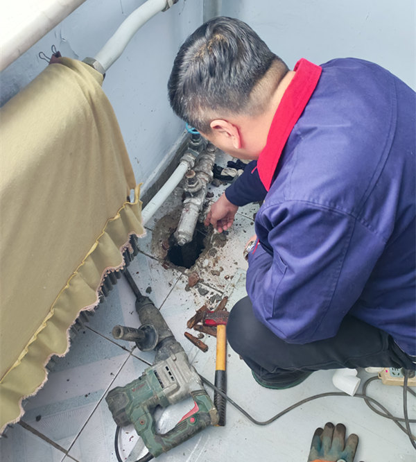 1742974299123935.jpg 微信圖片_20250326151933_副本.jpg