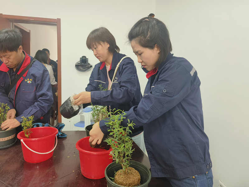 1757380208684420.jpg 微信圖片_20250908112132_516_6_副本.jpg